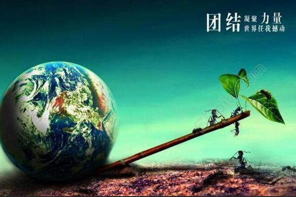 布拉德福德客场取得关键胜利，保级前景一片光明的简单介绍