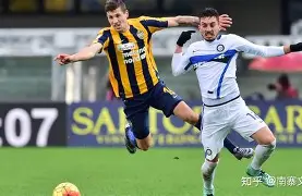 戴伊图灵斯威登主场零封维罗纳，豪取三分