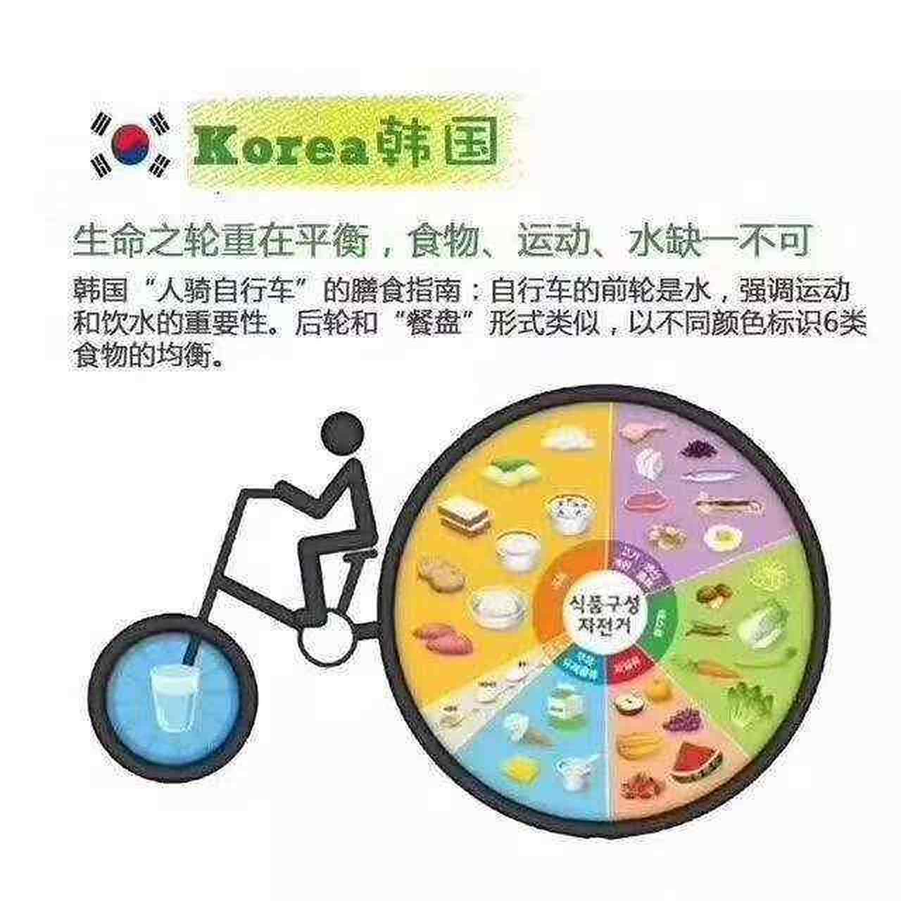 韩国自行车代表团夺冠，速度疾驰超越极限的简单介绍