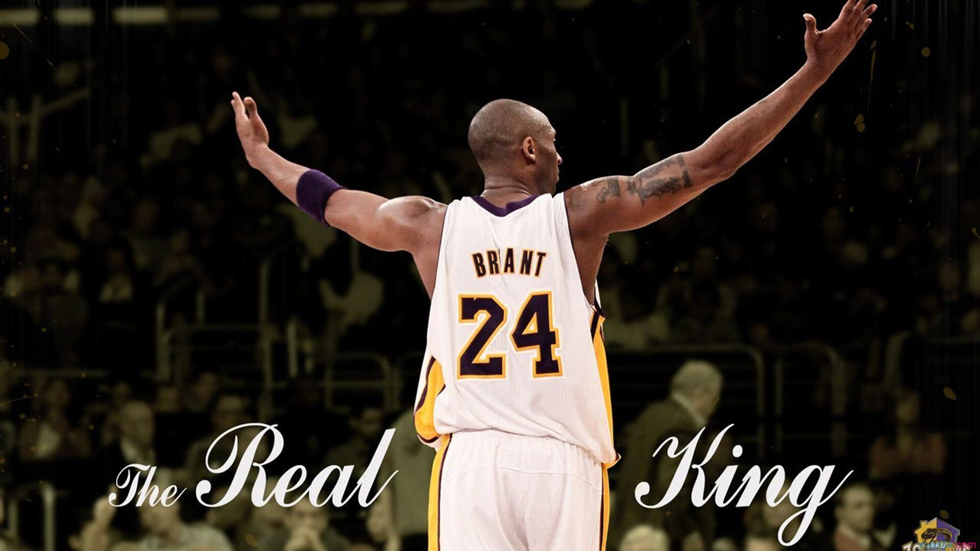 世俱杯2025-将名字缝进球场的风,美加墨之夜,马克西的攻防统治诗篇